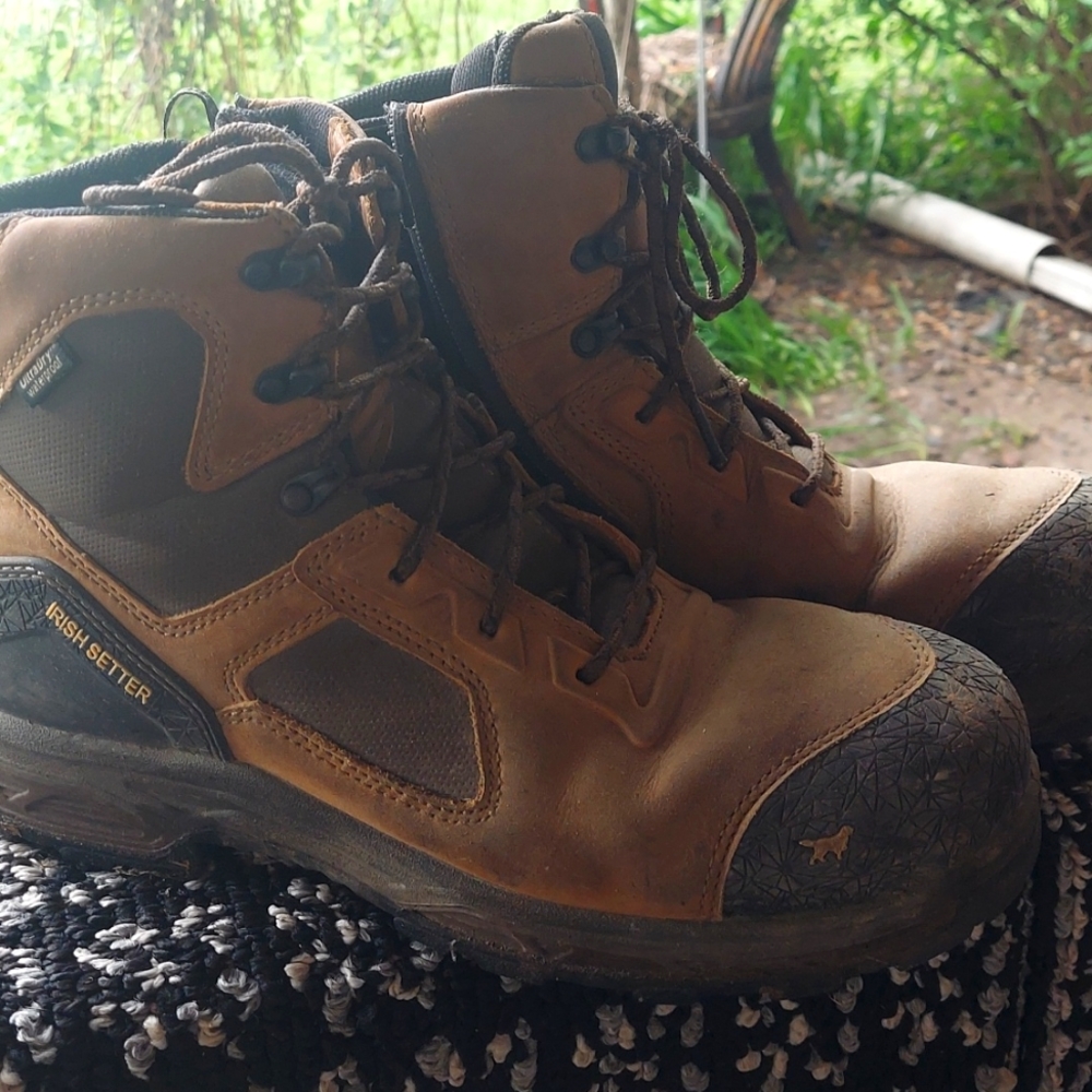 Irish setter size 12 E2